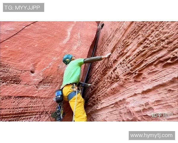 北京攀岩队心理素质分析及其对竞技表现的影响研究