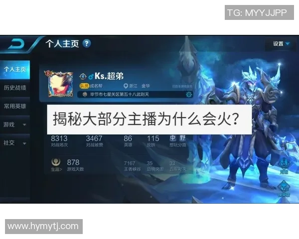 王者荣耀深度解析：IG战队的比赛策略与经验分享